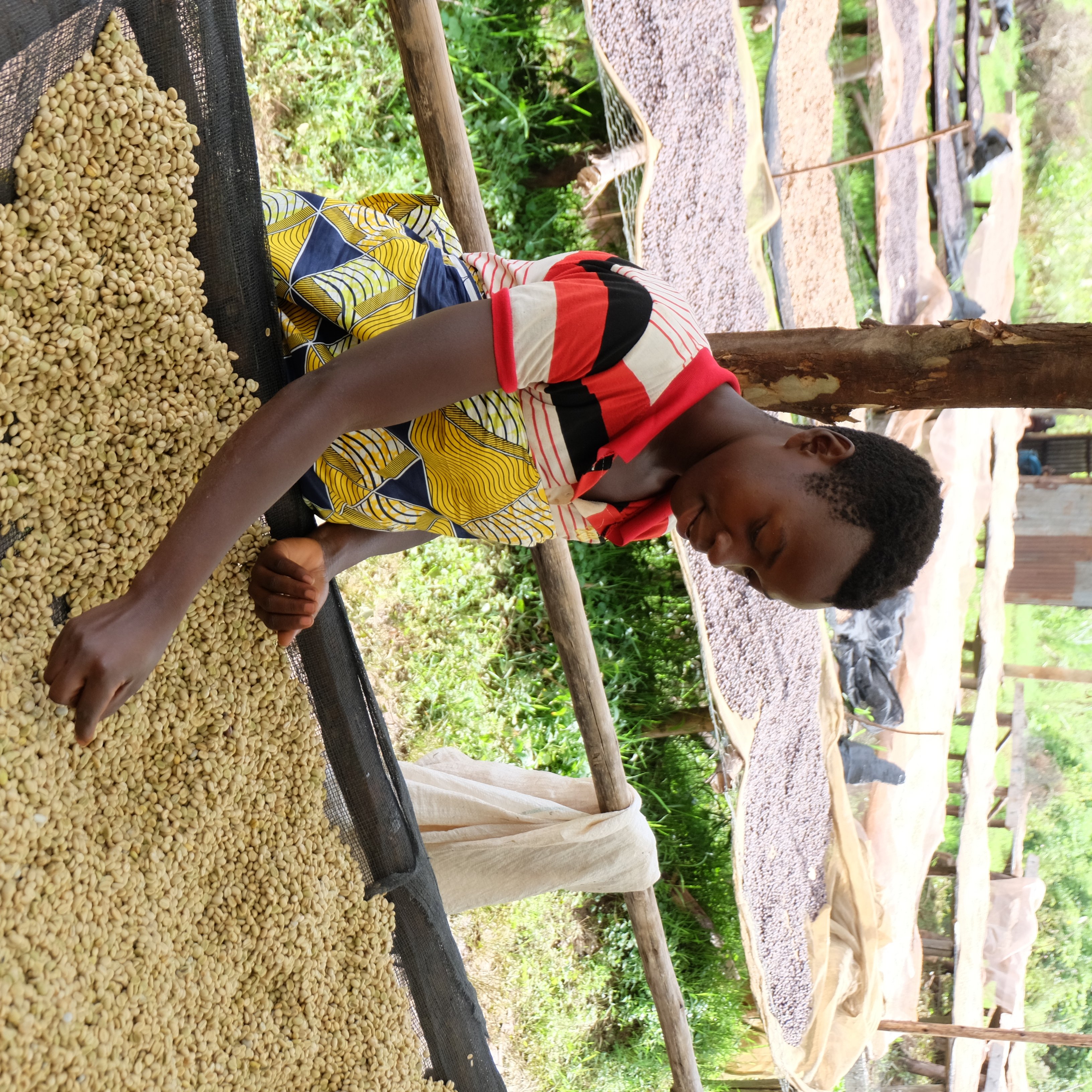 Burundi Businde Washed(23/24年クロップ) | ORIGIN COUNTRIES